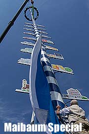 Maifeiertag. Der traditionsbewußte Münchner geht zum Maibaumaufstellen und Maitanz. Und hier geht es zum Maibaum-Special auf ganz-muenchen.de mit vielen Terminen zum Maibaum-Aufstellen in und rund um München. 